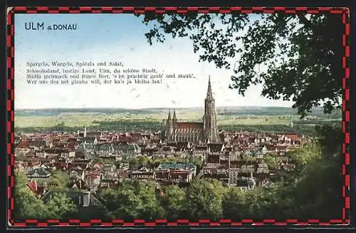 AK Ulm a. Donau, Ortsansicht vom Hügel mit dem Münster