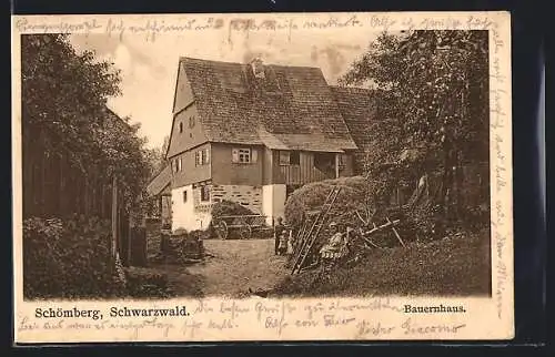 AK Schömberg /Schwarzwald, Partie an einem Bauernhaus