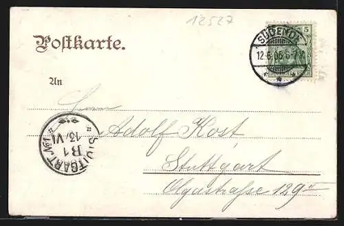 AK Berlin-Schmöckwitz, Gasthof zur Palme v. H. Peter, Schwäne, Segelboote