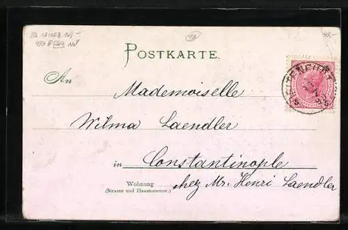 AK Dichter Hermann Sudermann im Portrait