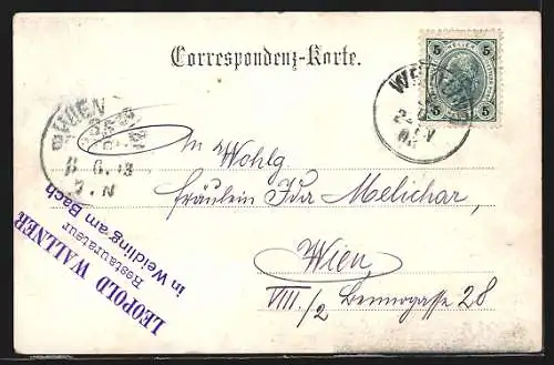 AK Weidlingbach, Carl Wallners Restaurant, Villa Klier, Vesper-Thürmchen, Schulhaus