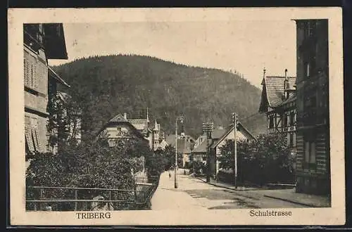 AK Triberg, Blick in die Schulstrasse