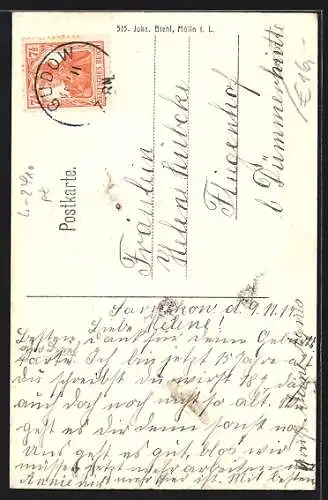 AK Mölln i. L., Ortsansicht mit Stadtsee, süsses Kind