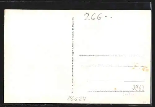 AK Engerhafe, Bäckerei und Gemischtwarenhandlung v. J. L. Nörder, Gemischtwarenhandlung von M. Nörder, Ortspartie