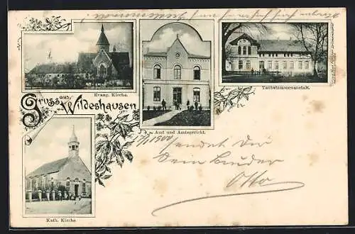 AK Wildeshausen, Taubstummenanstalt, Amt und Amtsgericht, Kirchen