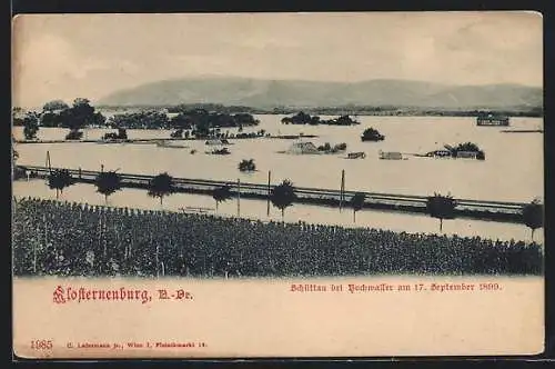AK Klosterneuburg, Schüttau bei Hochwasser am 17. September 1899