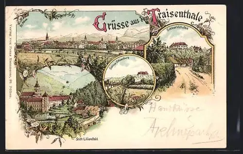 Lithographie St. Pölten, Ortsansicht, Schloss Viehofen, Stift Lilienfeld