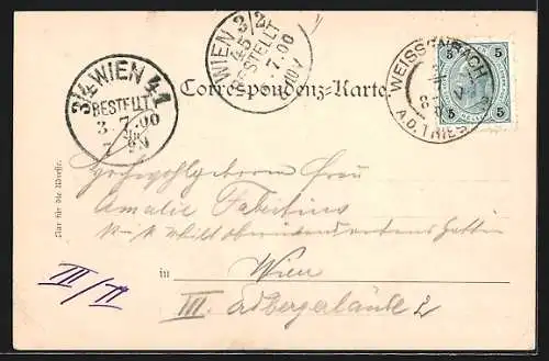 AK Weissenbach a. T., Hotel und Dependance von Anton Fugger