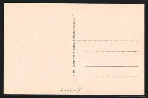 AK Langeoog, Ankunft der Gäste, Pferdebahn im Wasser