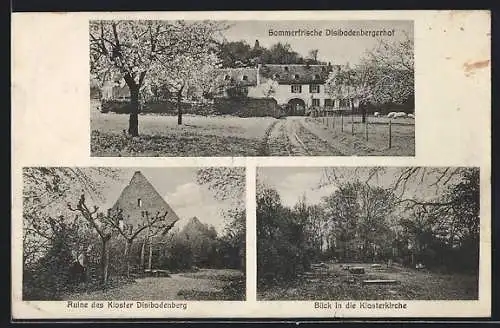 AK Odernheim / Glan, Gasthof Disibodenbergerhof, Klosterruine