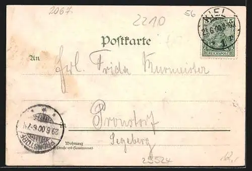 Lithographie Itzehoe, Gaststätte Amönenhöhe, Garten und Gebäude