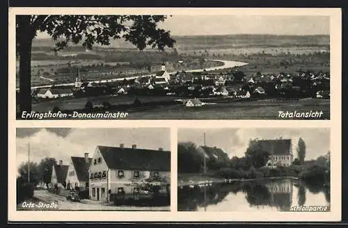 AK Erlingshofen-Donaumünster, Gesamtansicht, Orts-Strasse und Schlosspartie