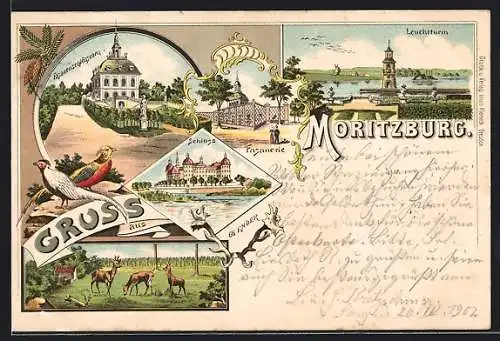 Lithographie Moritzburg / Sachsen, Leuchtturm, Schloss, Fasanerie