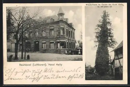 AK Neuhäusel, Hotel Holly, Wunderbaum im Garten