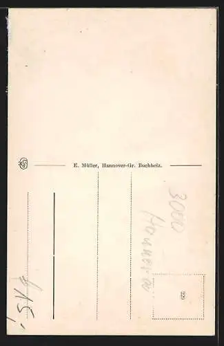 AK Hannover-Gross-Buchholz, Hesemannstrasse, Häuser an der Siemerdingstrasse