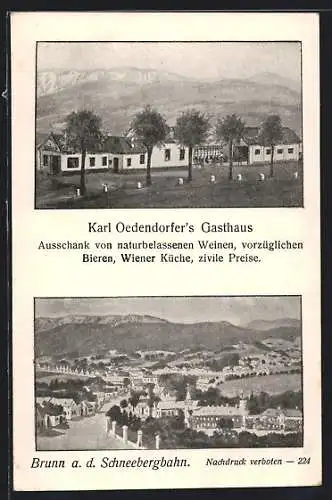 AK Brunn a. d. Schneebergbahn, Karl Oedendorfers Gasthaus, Ortsansicht