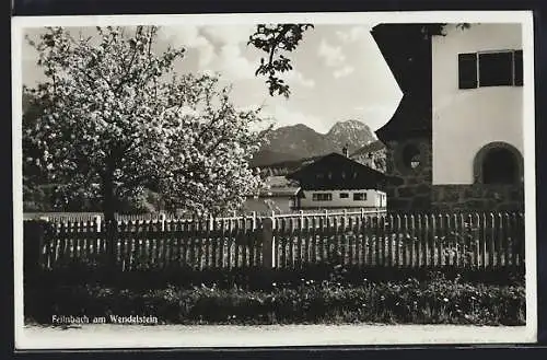 AK Feilnbach am Wendelstein, Ortspartie bei Baumblüte