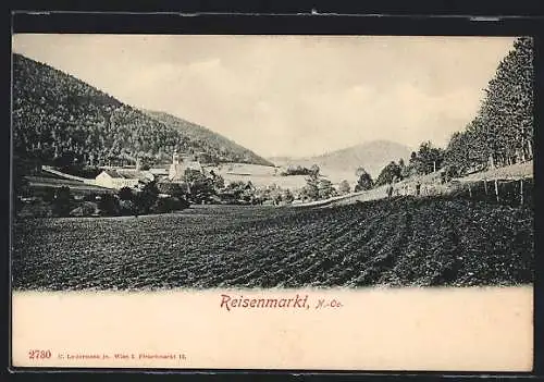 AK Reisenmarkt, Blick auf den Ort über Feld
