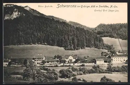 AK Schwarzau im Gebirge, Ortsansicht mit Wald