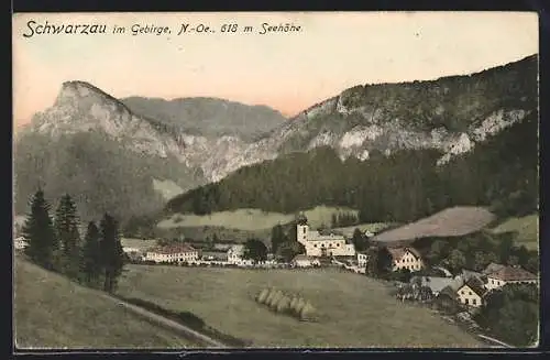 AK Schwarzau, Ortschaft mit Kirche aus der Ferne