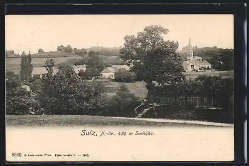 AK Sulz, Teilansicht mit Kirche und Gartentreppe