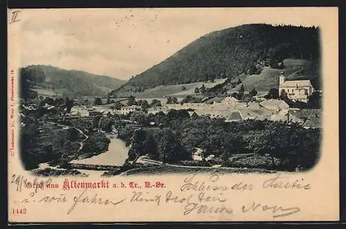 AK Altenmarkt a. d. Tr., Gesamtansicht am Fluss