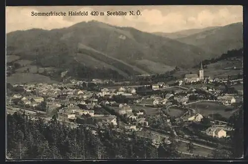 AK Hainfeld /N.-Ö., Gesamtansicht mit der Kirche im Tal