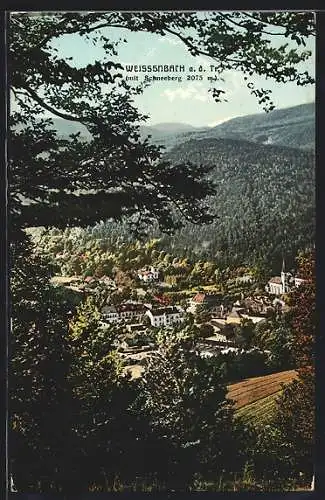 AK Weissenbach an der Triesting, Teilansicht mit Schneeberg