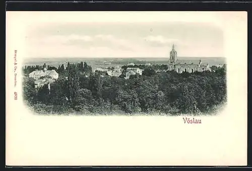 AK Vöslau, Ortsansicht mit der Kirche