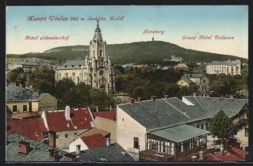 AK Vöslau, Grand Hotel Bellevue, Harzberg