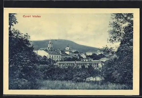 AK Vöslau, Teilansicht der Ortschaft