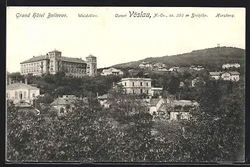 AK Vöslau, Grand Hotel Bellevue, Waldvillen, Harzberg