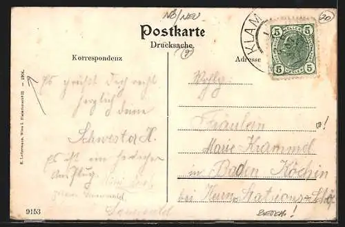 AK Schottwien am Semmering, Hauptstrasse, G. Lindners Alpengasthaus, Adlitzgraben