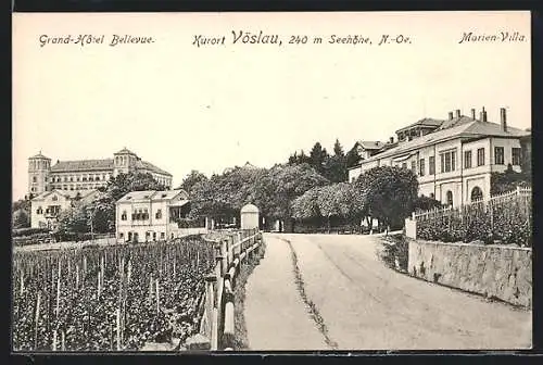AK Vöslau, Strassenpartie mit Grand-Hotel Bellevue und Marien-Villa