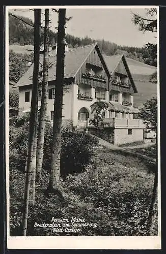 AK Breitenstein am Semmering, Hotel-Pension Marie