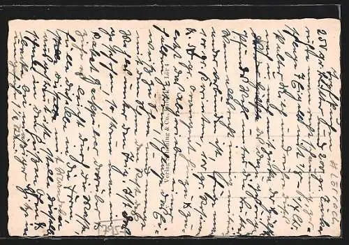 AK Lörrach, Blick auf die Stadt