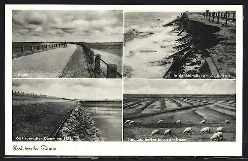 AK Wobbenbüll, Nordstrander Damm, Hochwasser 1936, Neuland im Entstehen am Damm