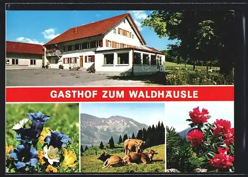 AK Memhölz-Helen, Gasthof zum Waldhäusle