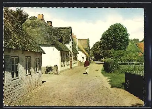 AK Nieblum /Föhr, Wegpartie mit Friesenhäusern