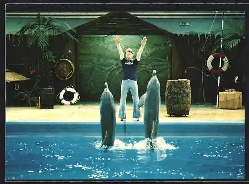 AK Sierksdorf, Ein Trainer mit zwei Delphinen bei der Delphin-Show im Hansaland