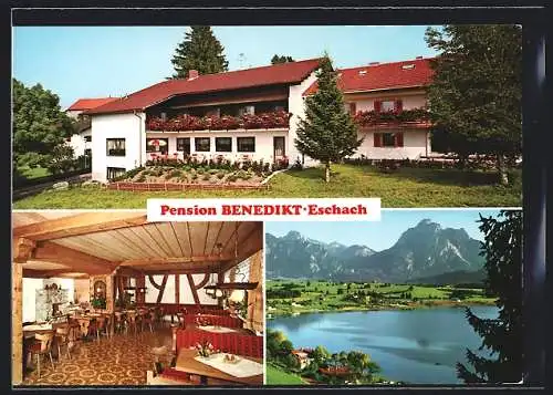 AK Eschach / Füssen, Hotel - Pension Benedikt