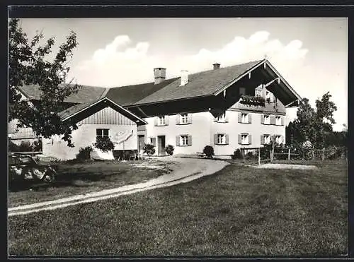 AK Schönau / Grünenbach, Gasthof der Familie M. Prestel