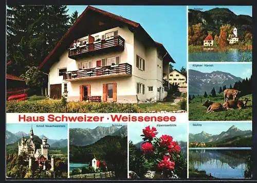 AK Weissensee / Bayern, Hotel Haus Schweizer