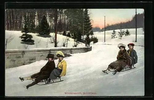 AK Paare fahren gemeinsam Schlitten