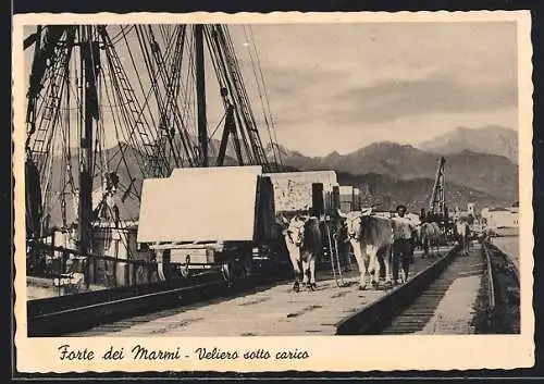 AK Forte dei Marmi, Veliera sotto carico