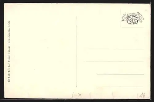 AK Bolzano, Pens. Lindele mit Garten