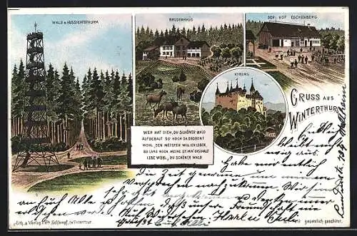 Lithographie Winterthur, Der Hof Eschenberg, Wald & Aussichtsturm, Bruderhaus, Kyburg, Nr. 119