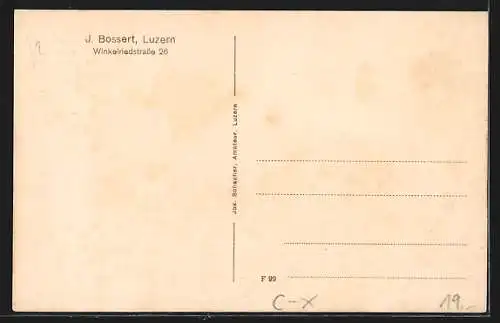 AK Luzern, Hotel Winkelried, Propr. J. Bossert
