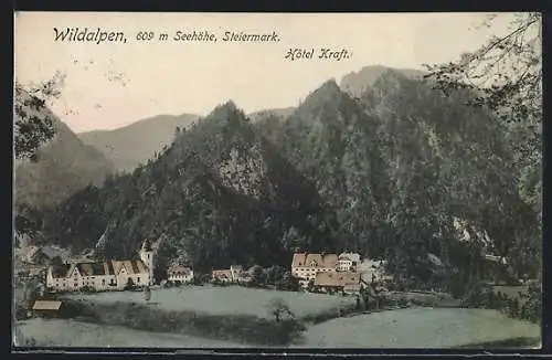 AK Wildalpen, Ortsansicht mit Hotel Kraft