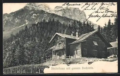 AK Admont, Försterhaus mit grossen Buchstein